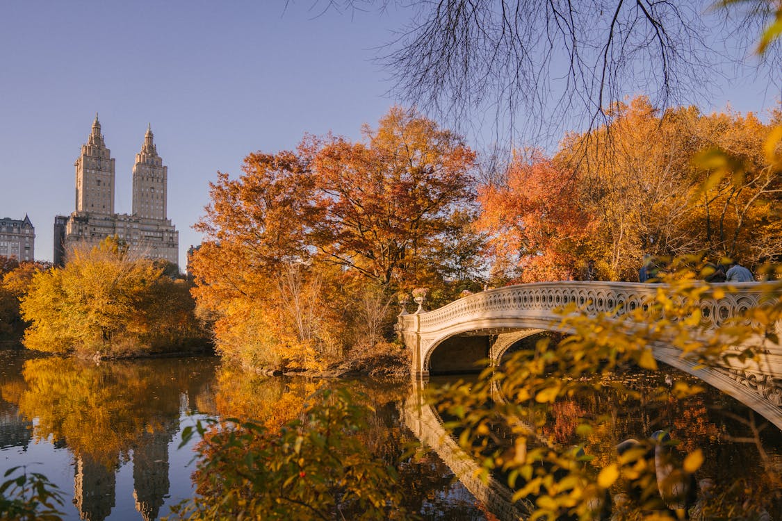 Central Park New York City