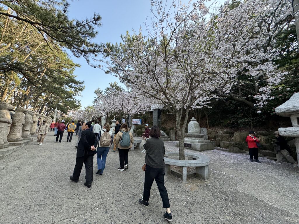 Road to the temple